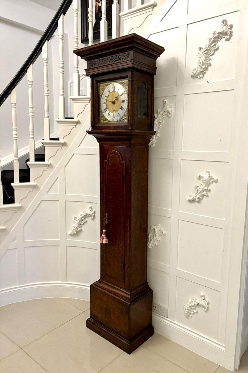 Outstanding Quality Antique George III Oak and Burr Oak Brass Face Longcase Clock - Image 3